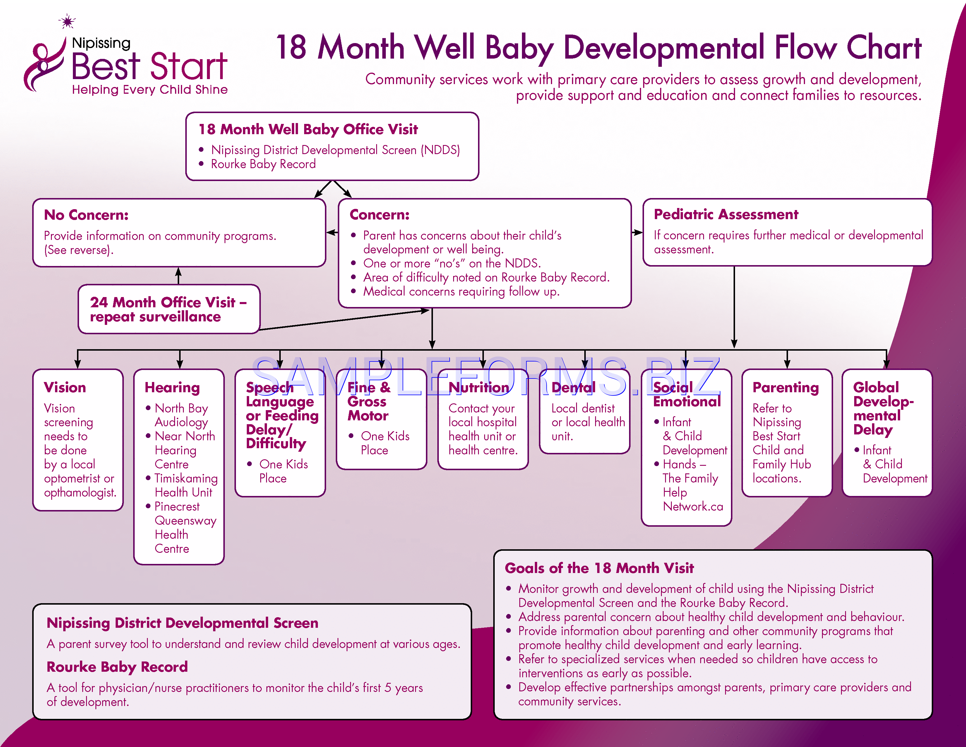 Preview free downloadable 18 Month Well Baby Developmental Flow Chart in PDF (page 1)
